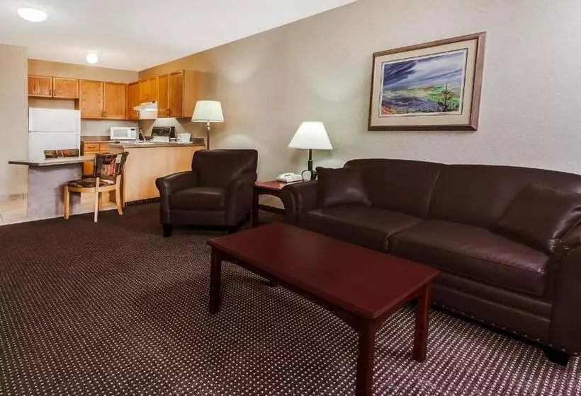 Standard Studio Kingsize Seng, Stony Plain Inn & Suites
