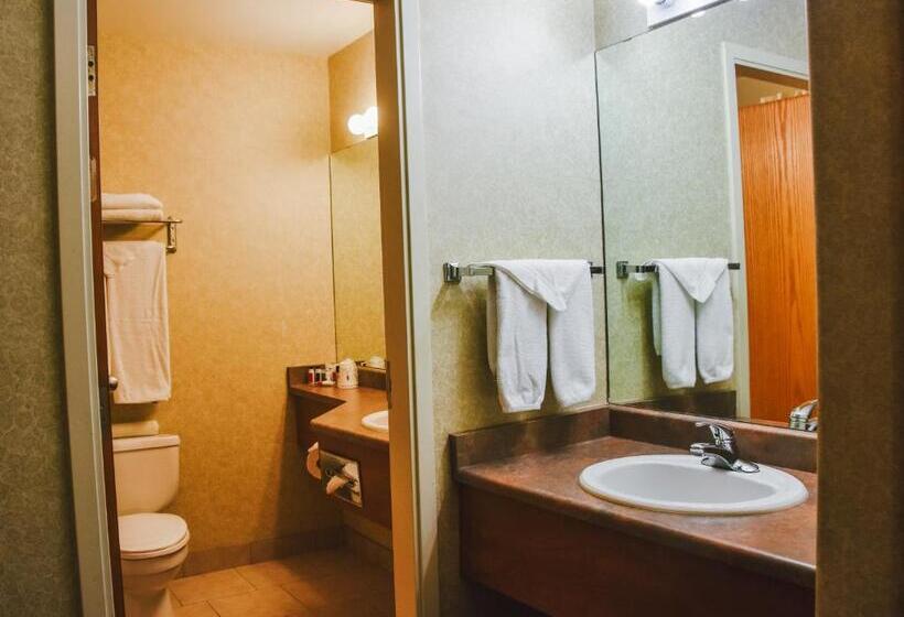 Delüks Stüdyo, Stony Plain Inn & Suites