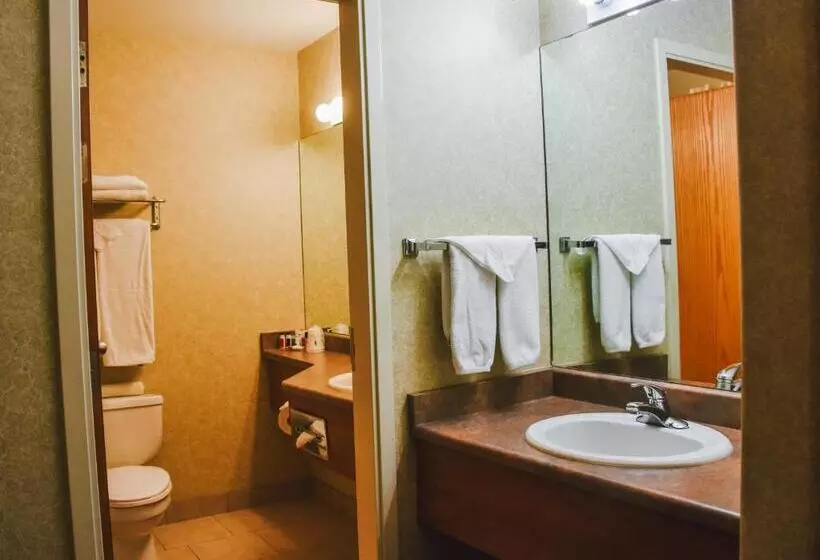 Deluxe Studio, Stony Plain Inn & Suites