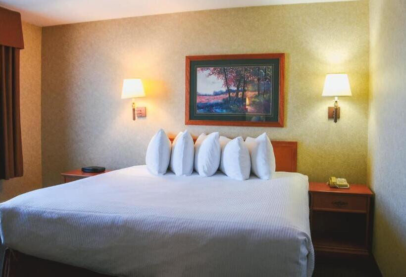 Студия Deluxe, Stony Plain Inn & Suites