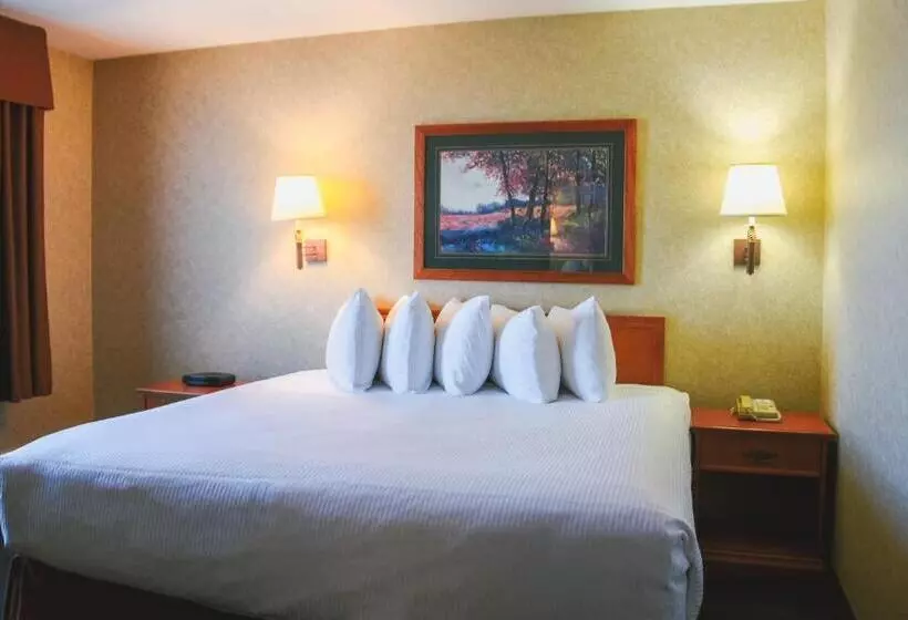 Deluxe Studio, Stony Plain Inn & Suites