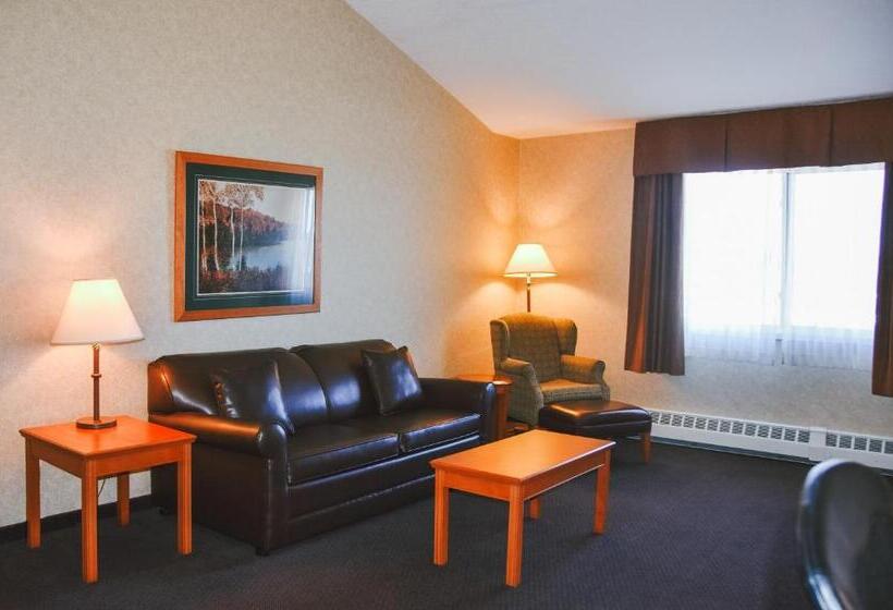 Deluxe Stúdió Szoba, Stony Plain Inn & Suites