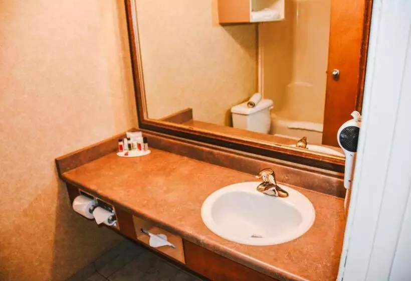 Standard Værelse, Stony Plain Inn & Suites