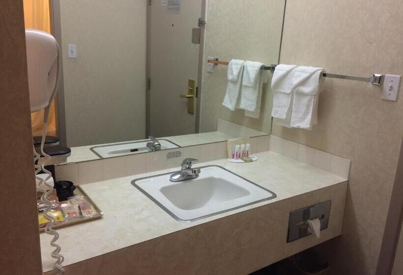 غرفه قياسيه سريرين مزدوجين, Super 8 By Wyndham Lethbridge