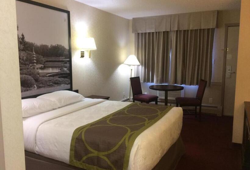 غرفة قياسية, Super 8 By Wyndham Lethbridge