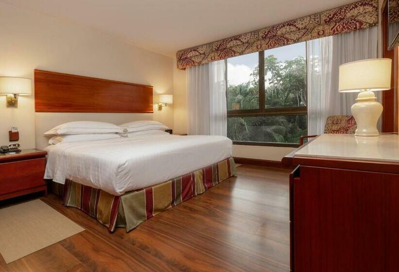 Люкс Премиум, Barceló San José