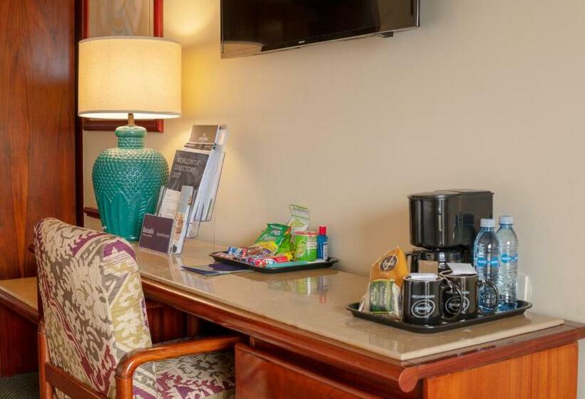 Номер Superior, Barceló San José