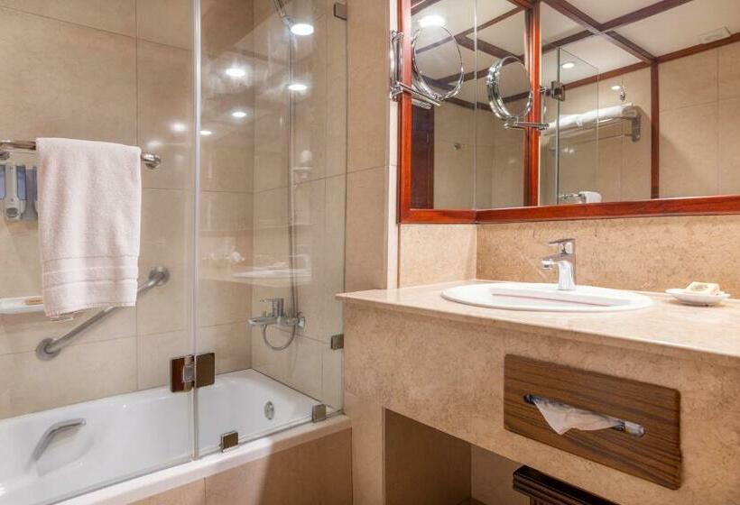 Номер Superior, Barceló San José