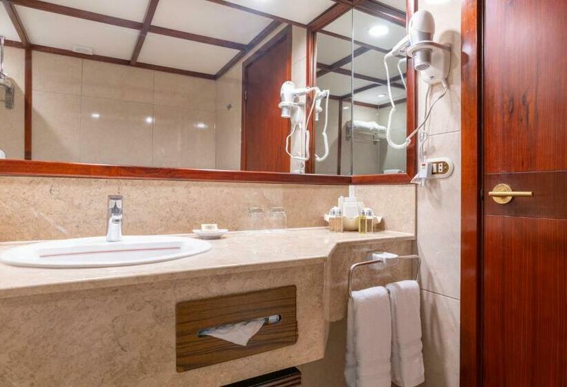 Номер Superior, Barceló San José