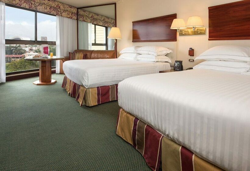 Номер Superior, Barceló San José