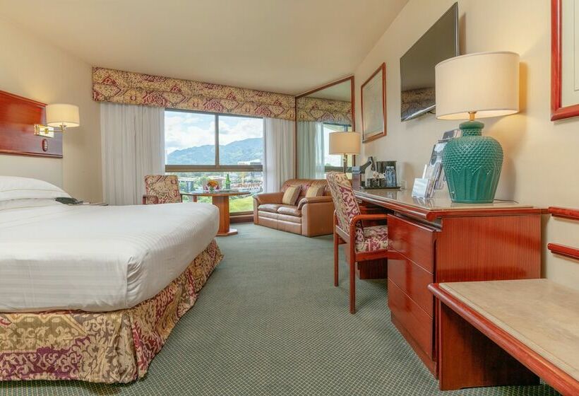 Номер Superior, Barceló San José