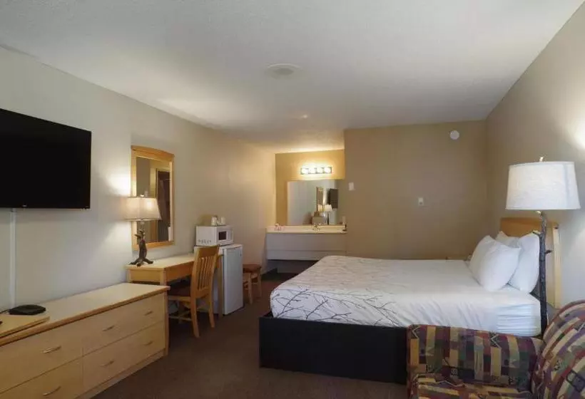 اتاق استاندارد با تخت بزرگ, Canadas Best Value Inn And Suites Fernie