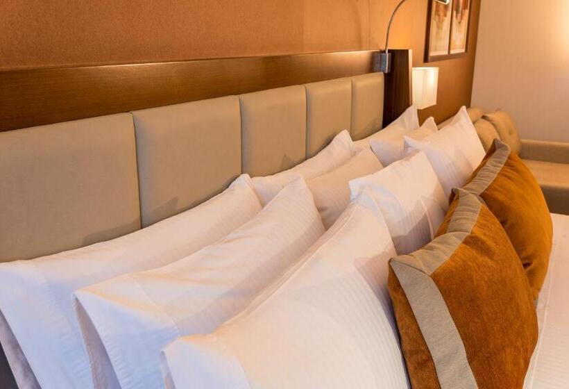 高级大房间, Dann Carlton Bogota