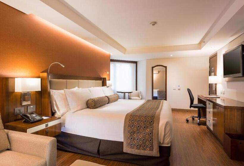 高级大房间, Dann Carlton Bogota