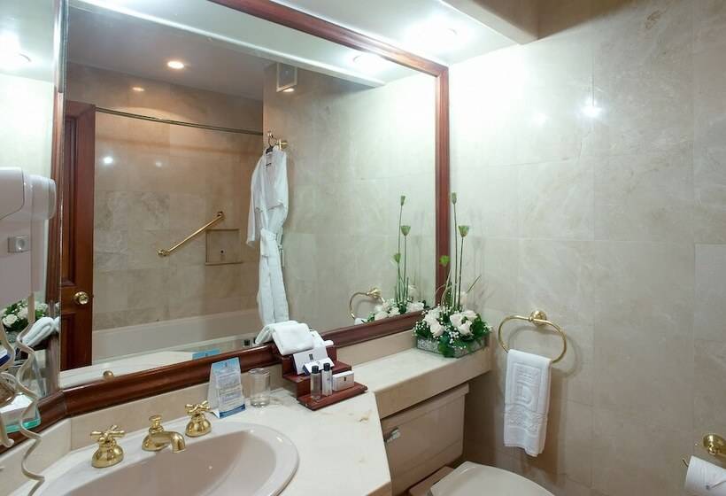 高级大房间, Dann Carlton Bogota