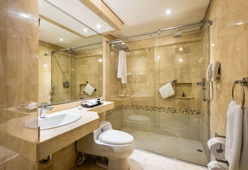 高级大房间, Dann Carlton Bogota