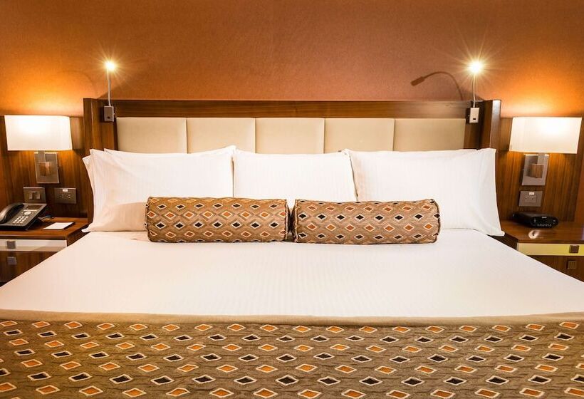 高级大房间, Dann Carlton Bogota