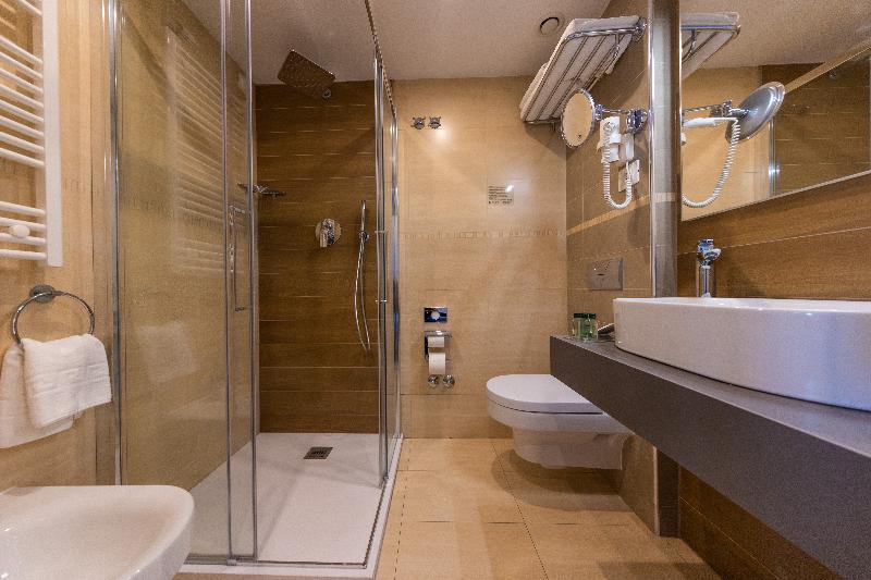 公園の見えるスタンダードルーム, Grand Hotel Park