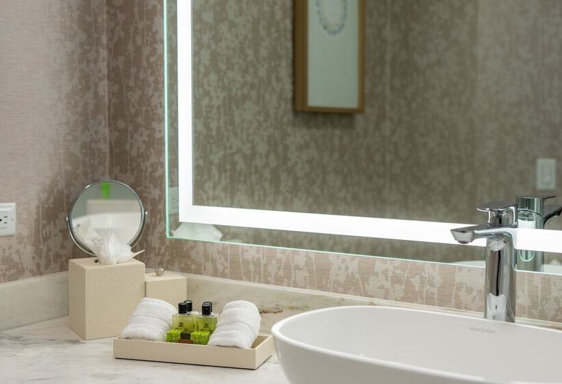 اتاق کلاسیک با تخت دوبل, Intercontinental Costa Rica At Multiplaza Mall, An Ihg