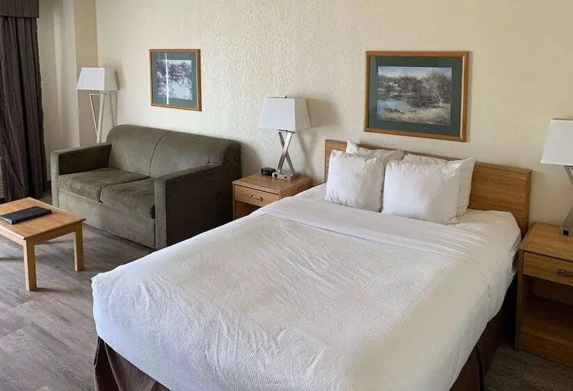 スイート, Rodeway Inn