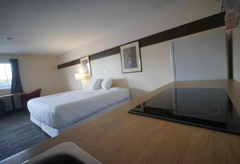 Cameră Superioară Single, Superlodge Canada