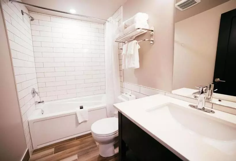اتاق استاندارد با تخت بزرگ, Tofino Resort + Marina