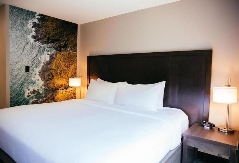 스탠다드 룸 킹사이즈 침대, Tofino Resort + Marina