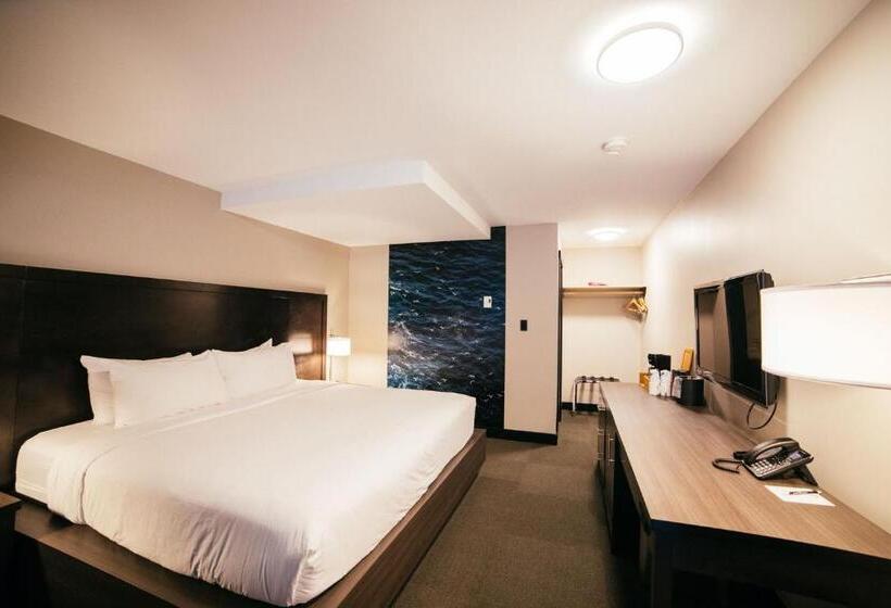 스탠다드 룸 킹사이즈 침대, Tofino Resort + Marina