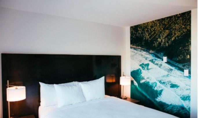 스탠다드 룸, Tofino Resort + Marina