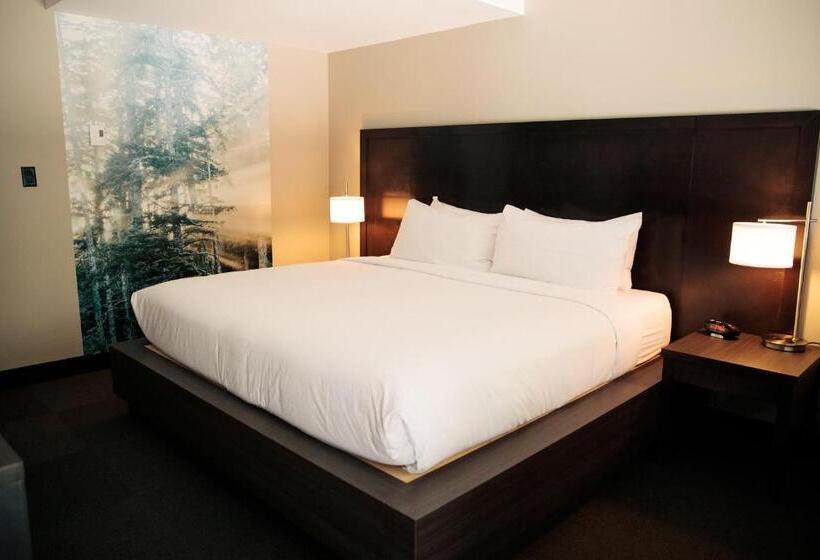 발코니가 있는 스위트, Tofino Resort + Marina