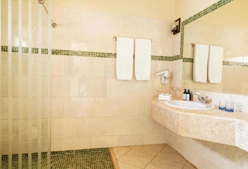 سوییت جونیور, Club Paradisio El Gouna Red Sea