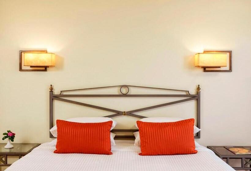 سوییت, Club Paradisio El Gouna Red Sea