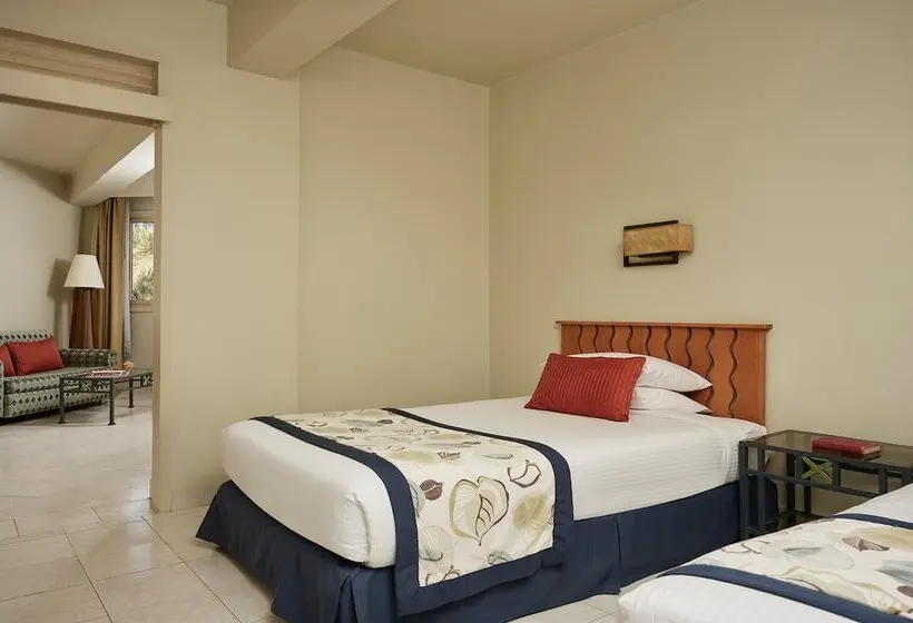 سوییت, Club Paradisio El Gouna Red Sea