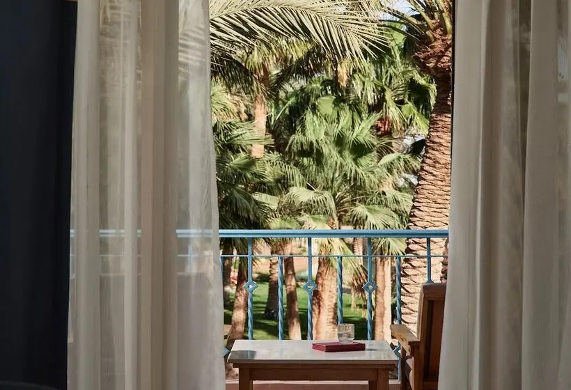 سوییت, Club Paradisio El Gouna Red Sea