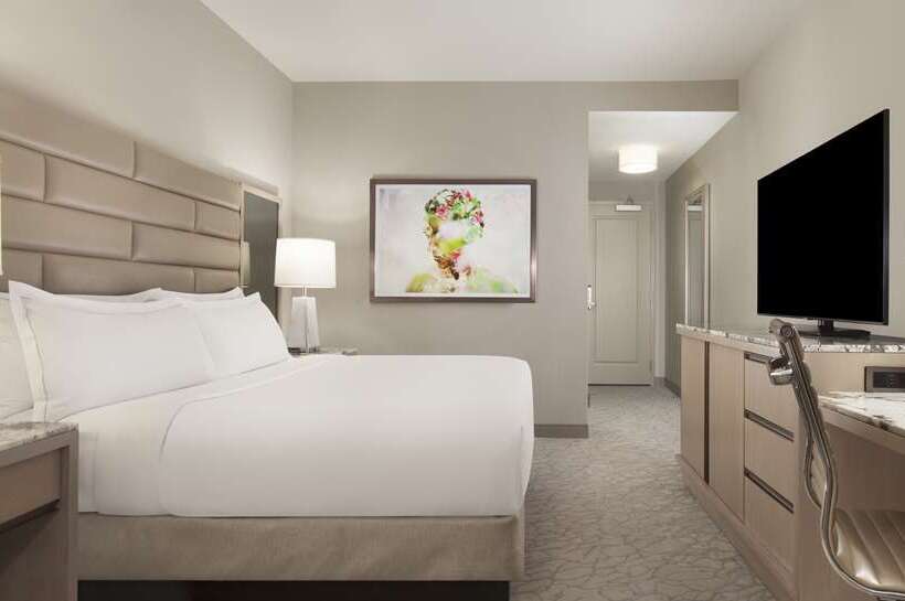 اتاق استاندارد با تخت بزرگ, Hilton Cairo Heliopolis