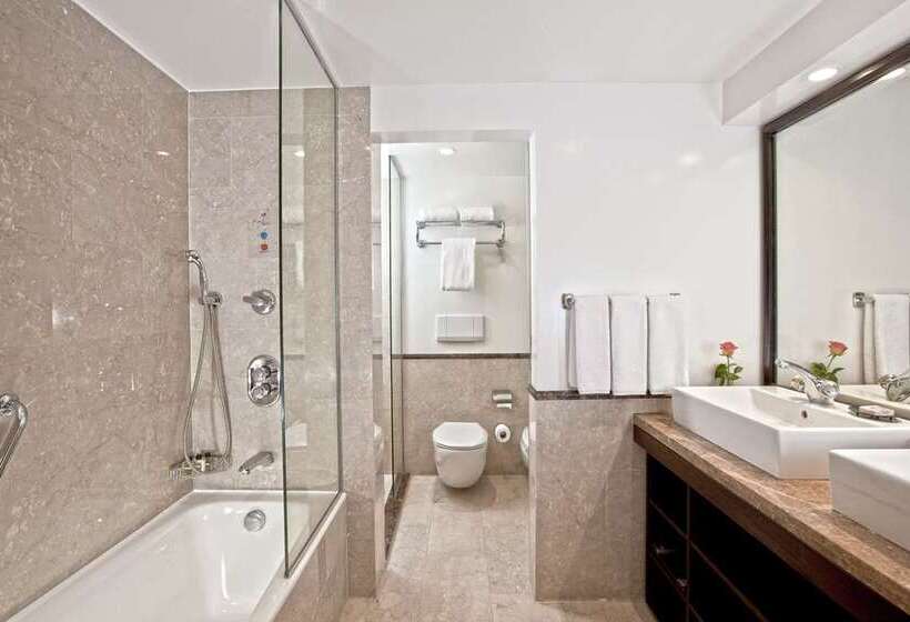 سوئیت با تخت بزرگ, Hilton Cairo Heliopolis