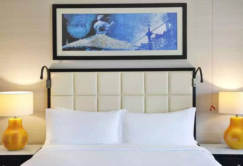 سوئیت با تخت بزرگ, Hilton Cairo Heliopolis