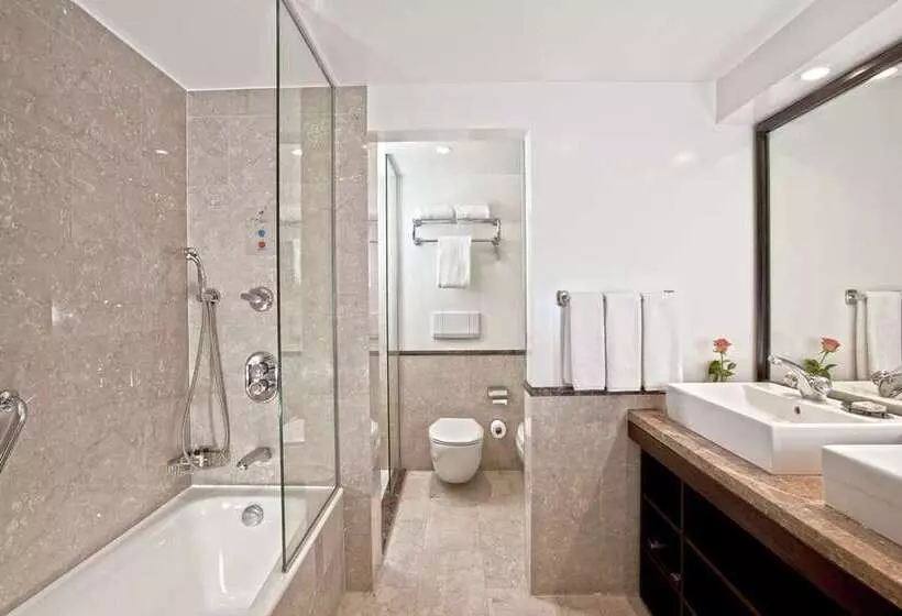 سوییت با چشم‌انداز استخر, Hilton Cairo Heliopolis