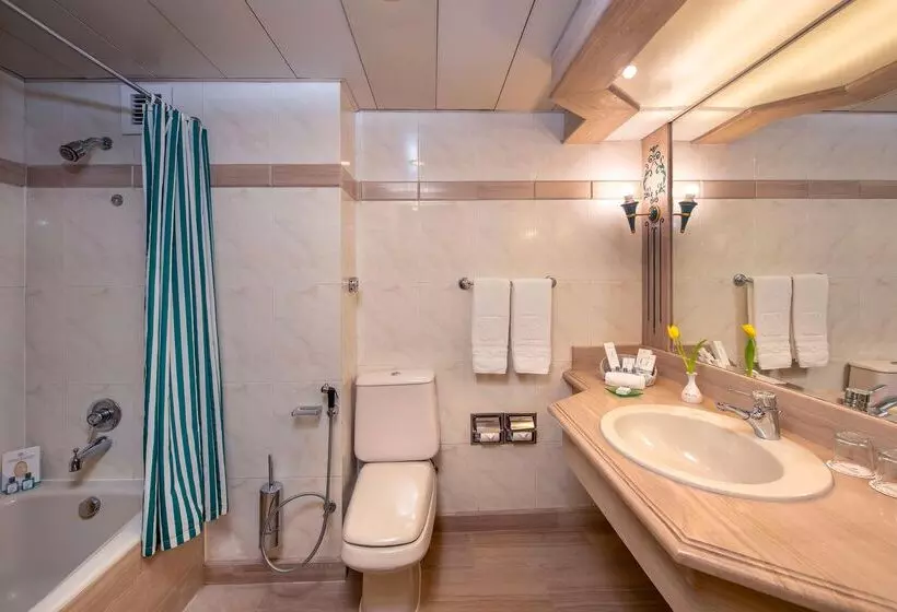 اتاق استاندارد با چشمانداز شهر, Sonesta St. George Hotel Convention Center
