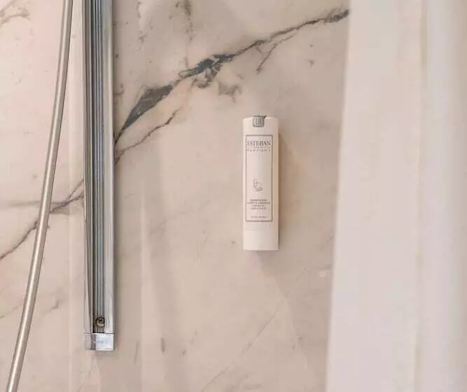 デラックスルーム, De Fleurie   Saint Germain Des Pres
