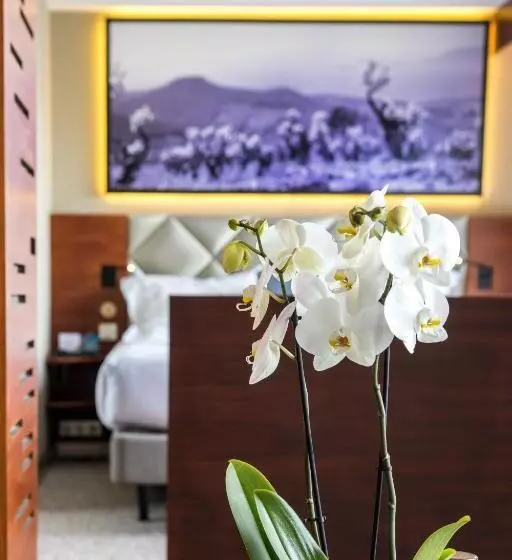 デラックススイート, Thalazur Bandol Ile Rousse   Hôtel & Spa