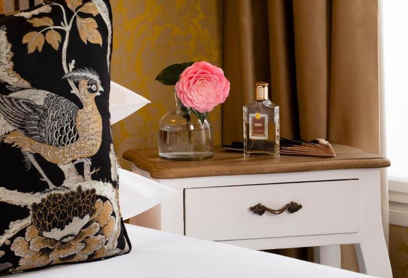 スタンダードルーム, Odeon