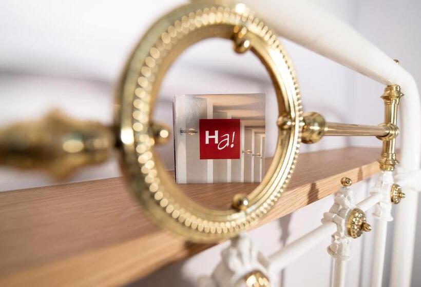 חדר קלאסי, Alexander