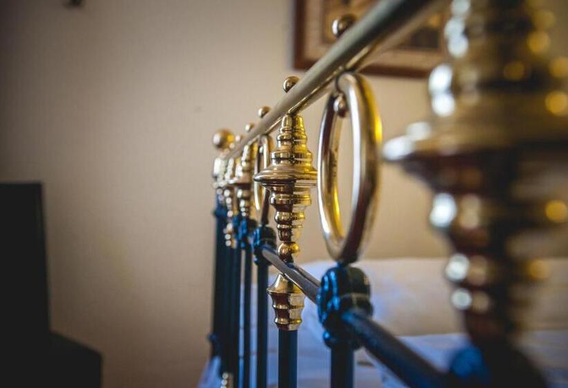 חדר קומפורט, Alexander