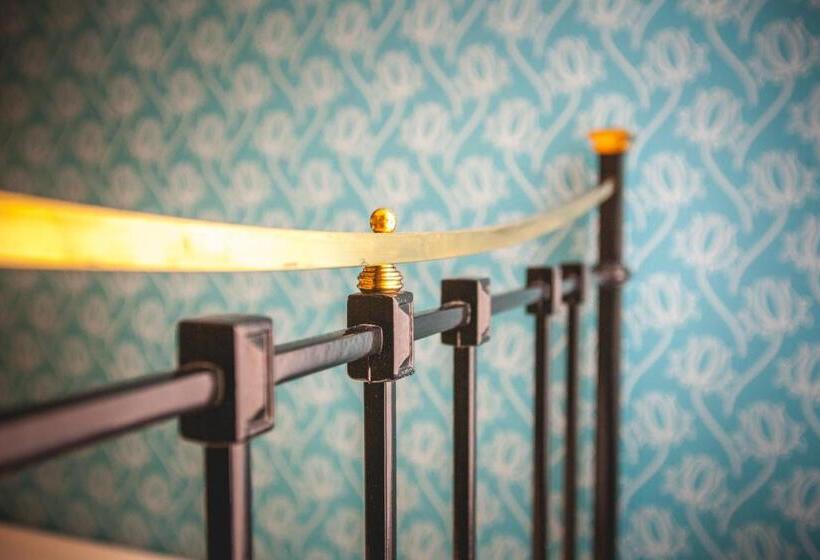 חדר קומפורט יחיד, Alexander