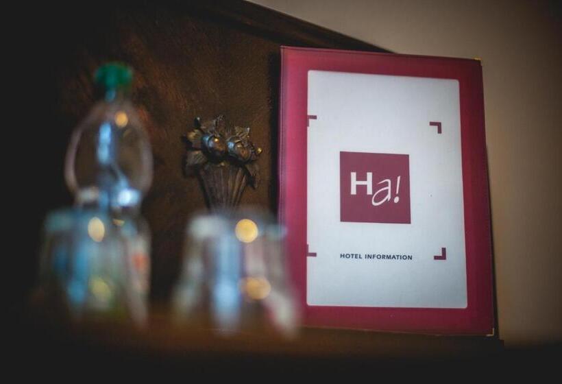 חדר קומפורט יחיד, Alexander