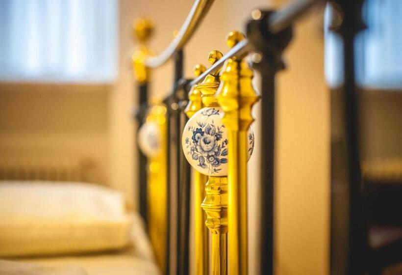 חדר קומפורט יחיד, Alexander