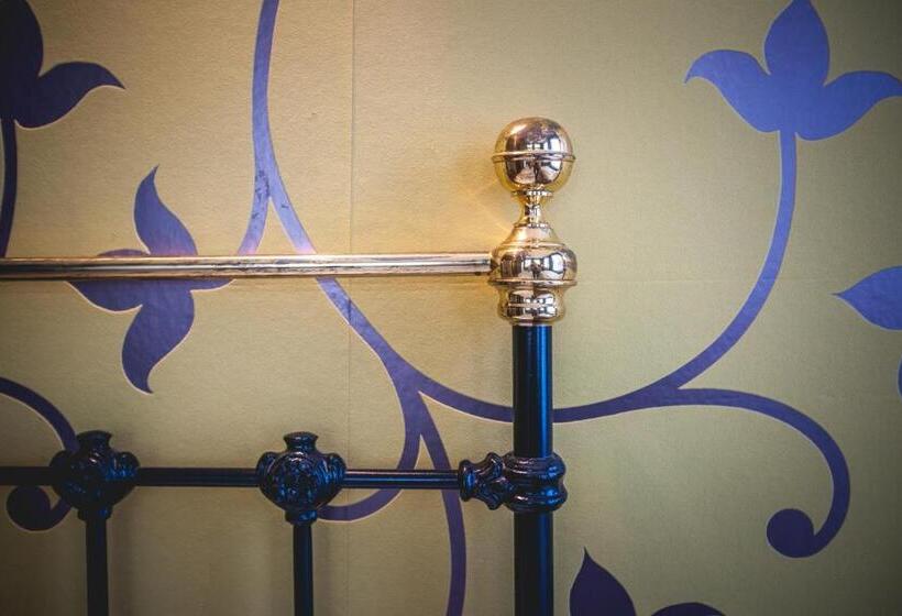 חדר קומפורט יחיד, Alexander