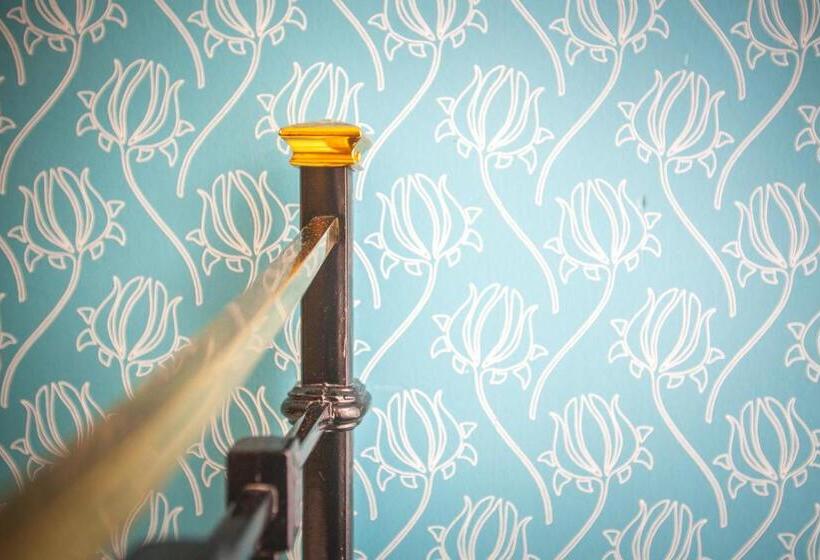 חדר קומפורט יחיד, Alexander