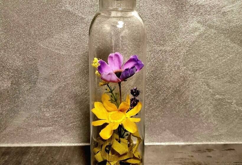 舒适型房间, Wildeshauser Hof